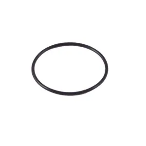 SP Fuel Pump O-Ring